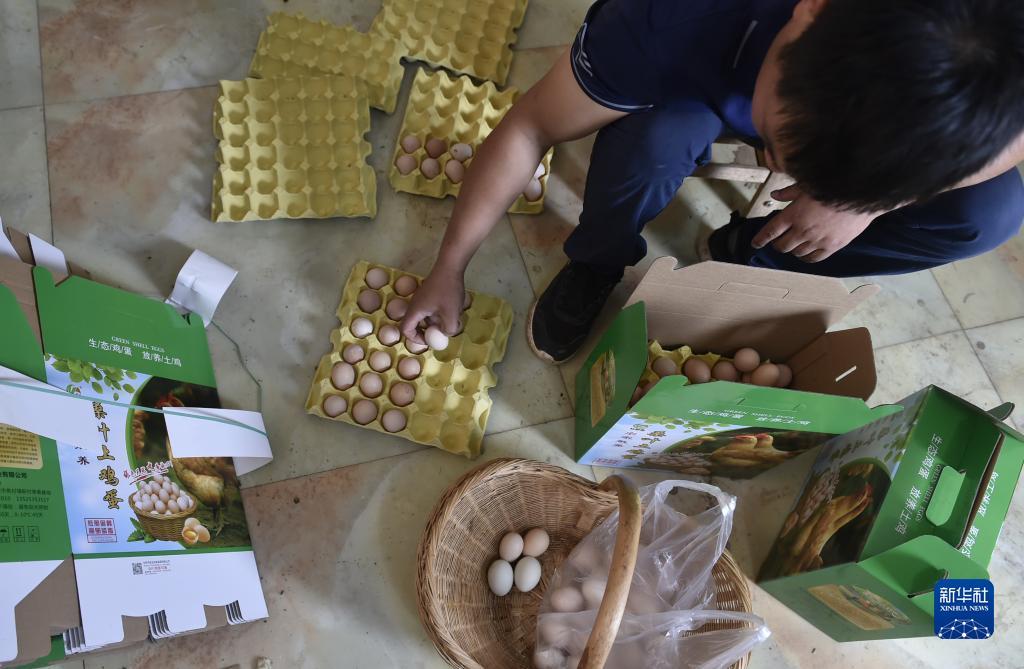 波克捕鱼赠送版本